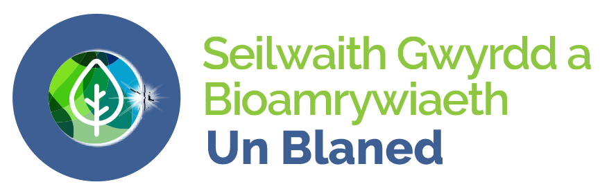Biodiversity Biodiversity